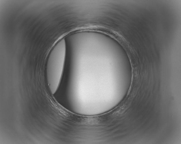 X0000056011409200508190842