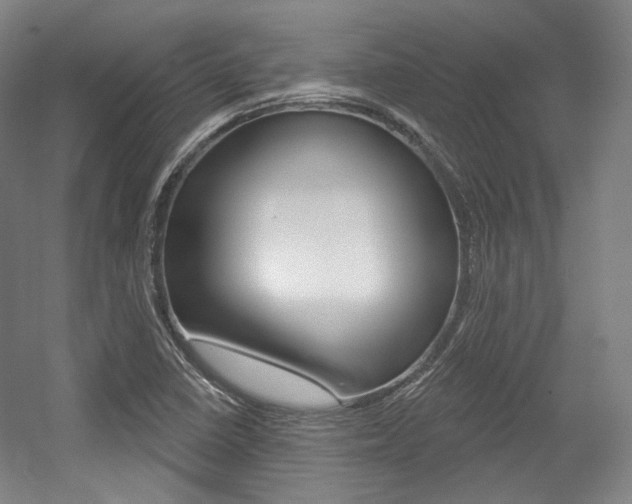 X0000056011410200508190842