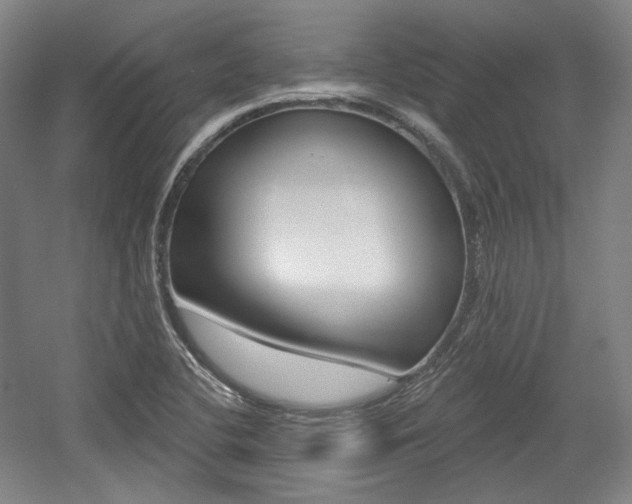 X0000056011412200508190842