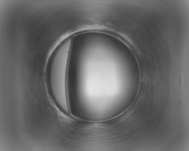 X0000056011414200508190842