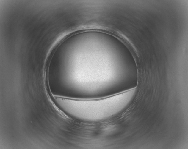 X0000056011416200508190842