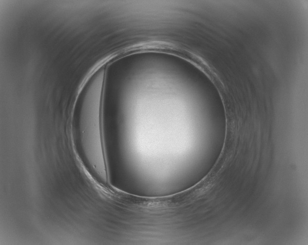 X0000056011418200508190842