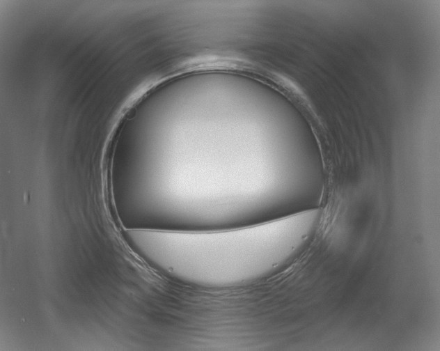 X0000056011419200508190842