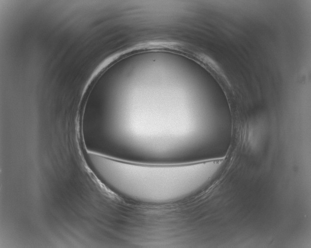 X0000056011420200508190842