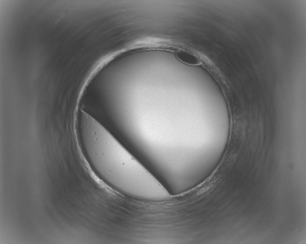 X0000056011421200508190842