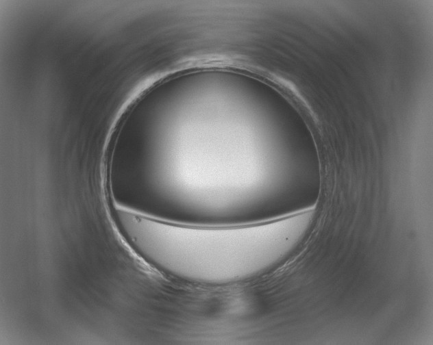 X0000056011424200508190842