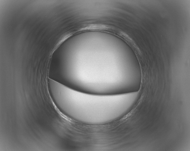X0000056011425200508190842