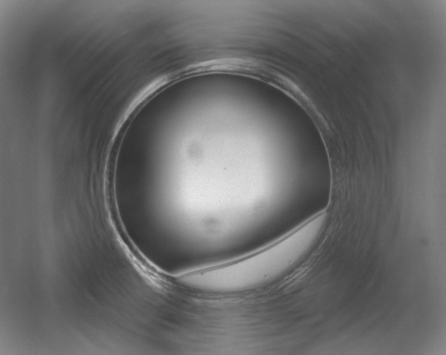X0000056011426200508190842