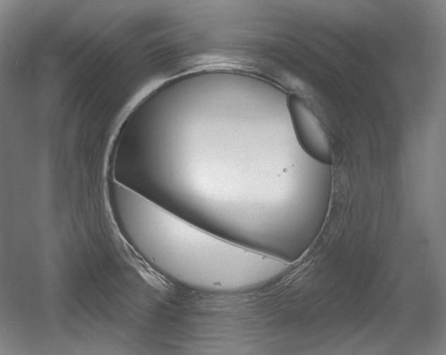 X0000056011427200508190842