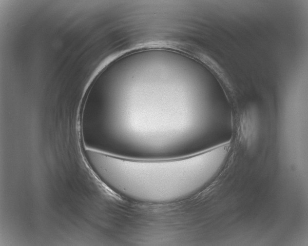 X0000056011428200508190842