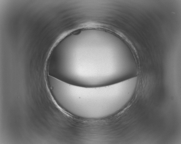 X0000056011429200508190842