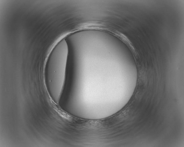 X0000056011435200508190842
