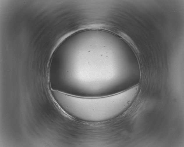 X0000056011436200508190842
