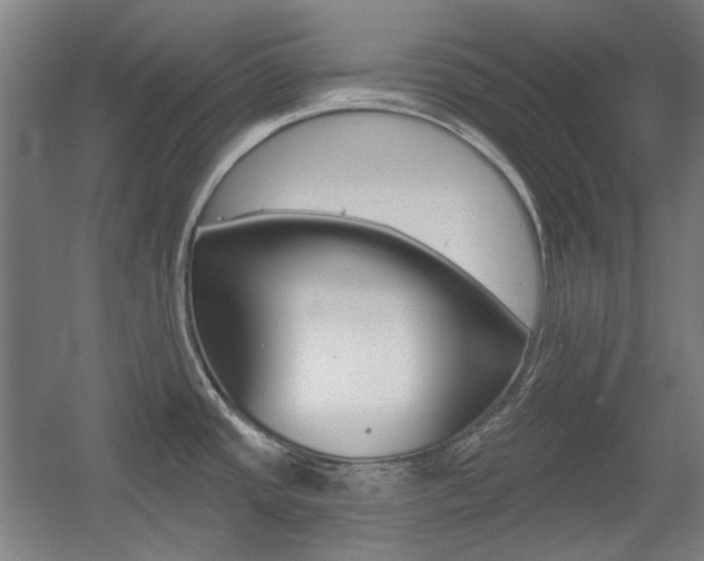 X0000056011437200508190842