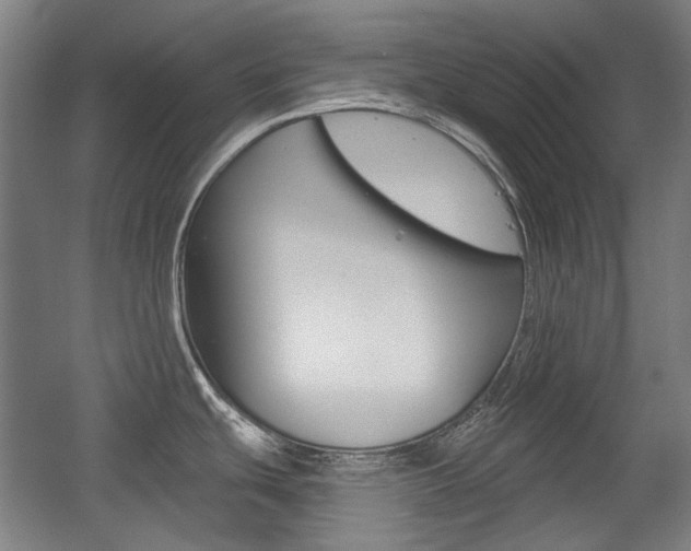 X0000056011439200508190842
