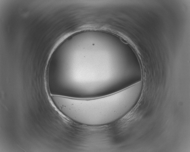 X0000056011440200508190842