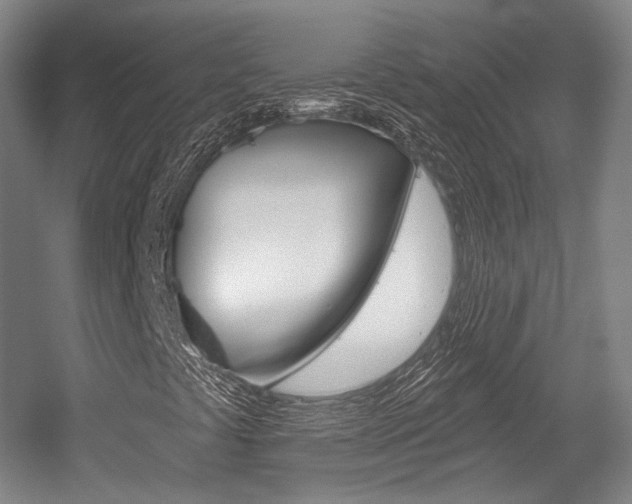 X0000056011441200508190842