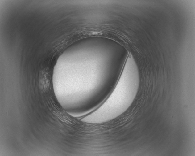 X0000056011442200508190842