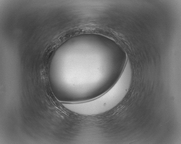 X0000056011445200508190842
