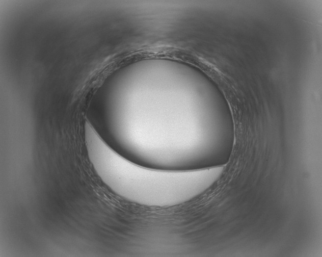X0000056011447200508190842