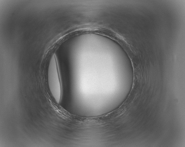 X0000056011448200508190842