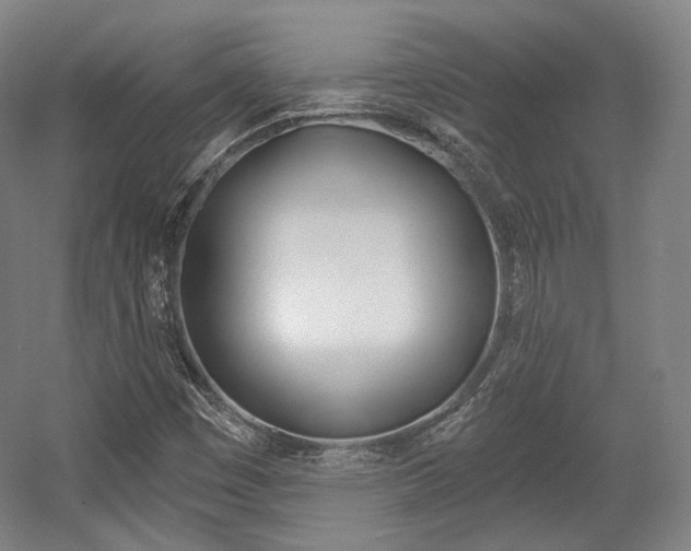 X0000056011449200508190841