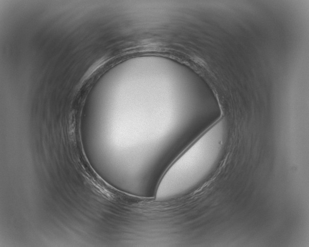 X0000056011450200508190841