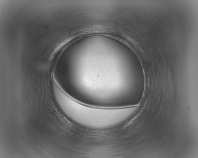 X0000056011453200508190841