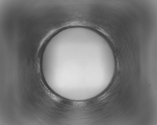 X0000056011454200508190841