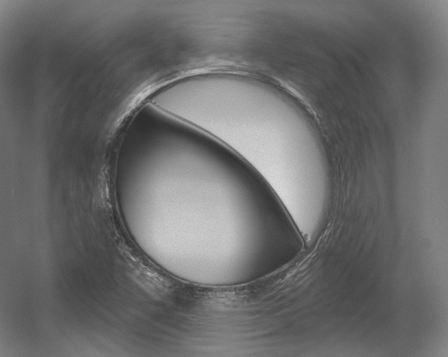 X0000056011455200508190841