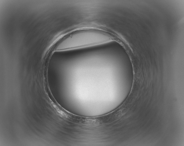 X0000056011456200508190841
