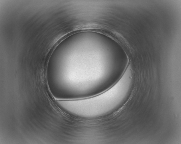 X0000056011457200508190841