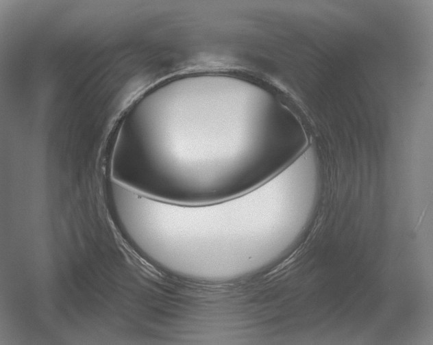 X0000056011459200508190841