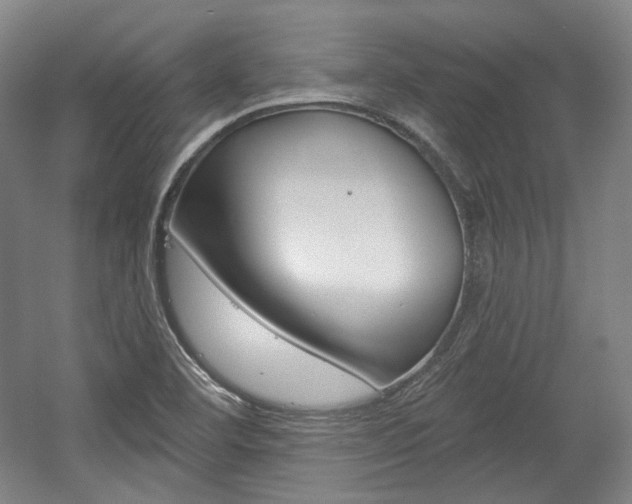 X0000056011460200508190841