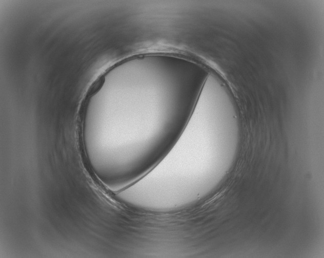 X0000056011463200508190841