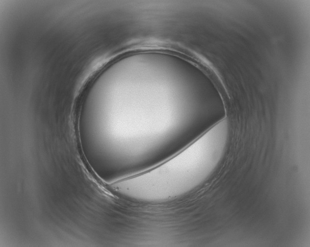 X0000056011464200508190841