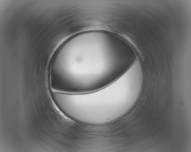 X0000056011468200508190841