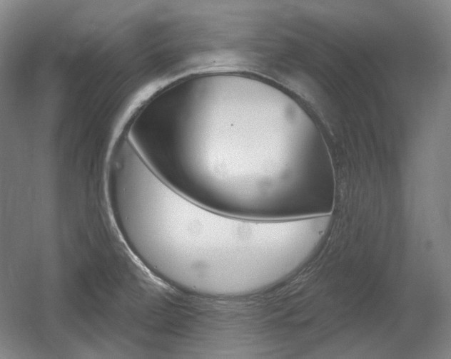 X0000056011472200508190841