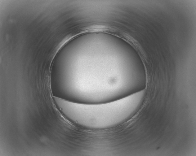 X0000056011473200508190841