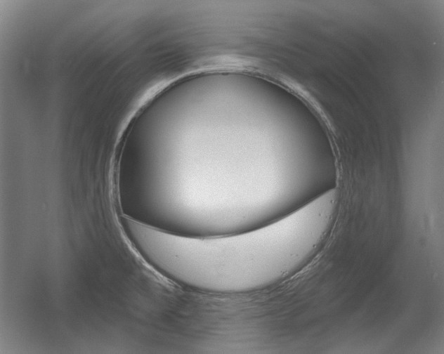 X0000056011477200508190841
