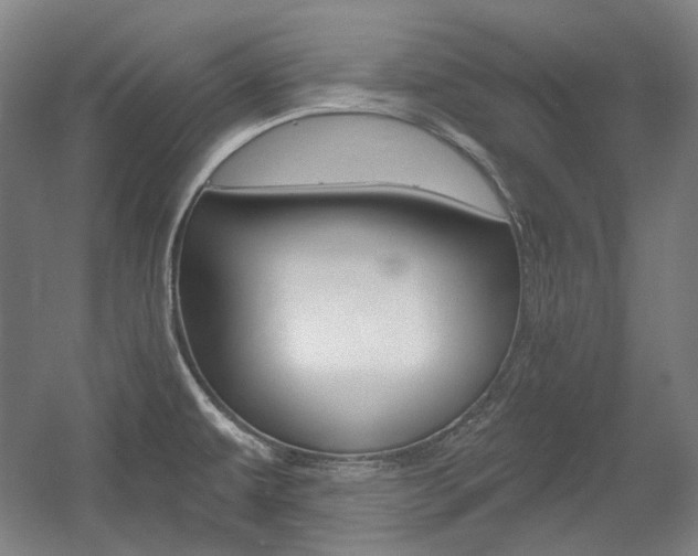 X0000056011479200508190841