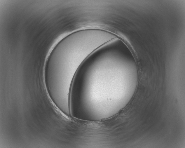 X0000056011480200508190841