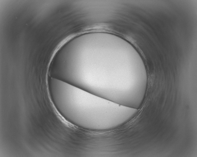 X0000056011482200508190841