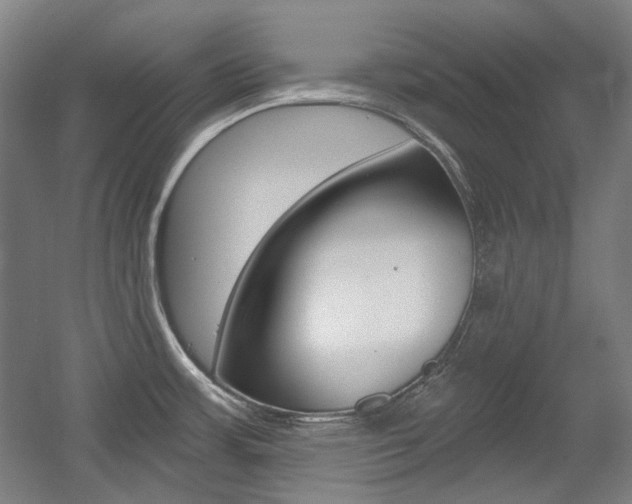 X0000056011483200508190841