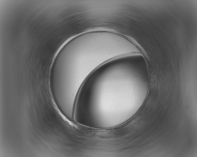 X0000056011484200508190841