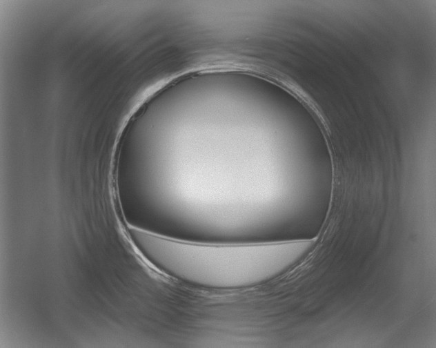 X0000056011485200508190841