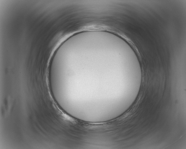 X0000056011486200508190841