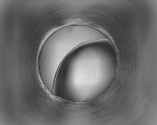 X0000056011488200508190841