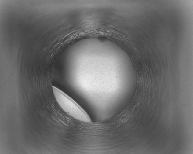 X0000056011490200508190840