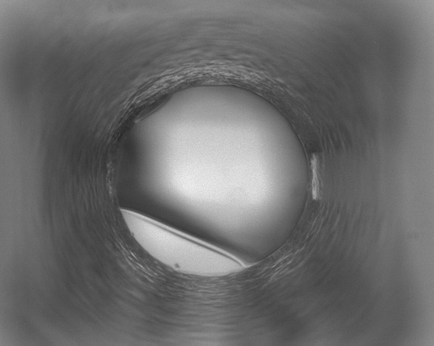 X0000056011491200508190840